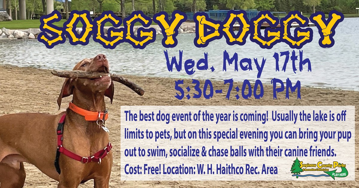 Soggy Doggy (4)  County of Saginaw, MI
